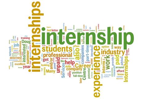 Electronic National Internship System (E.